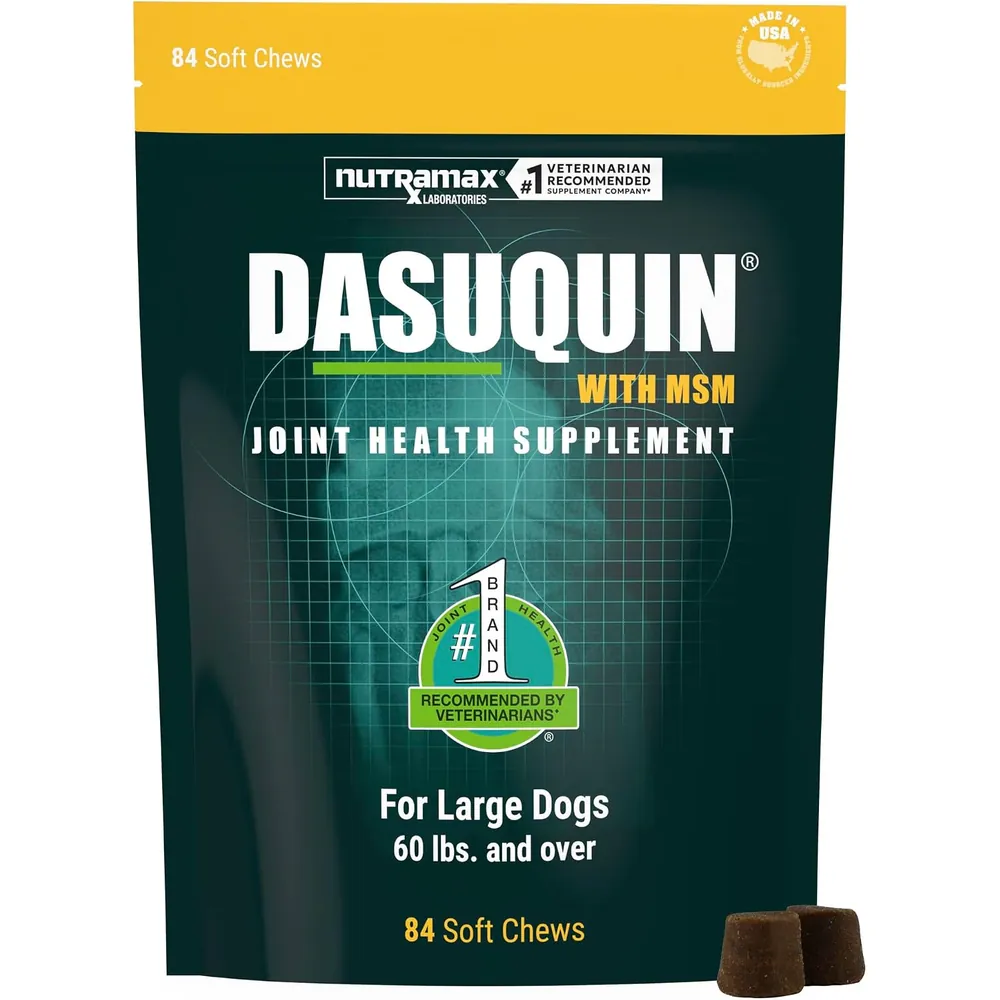 Dasuquin with MSM Soft Chews for Large Dogs