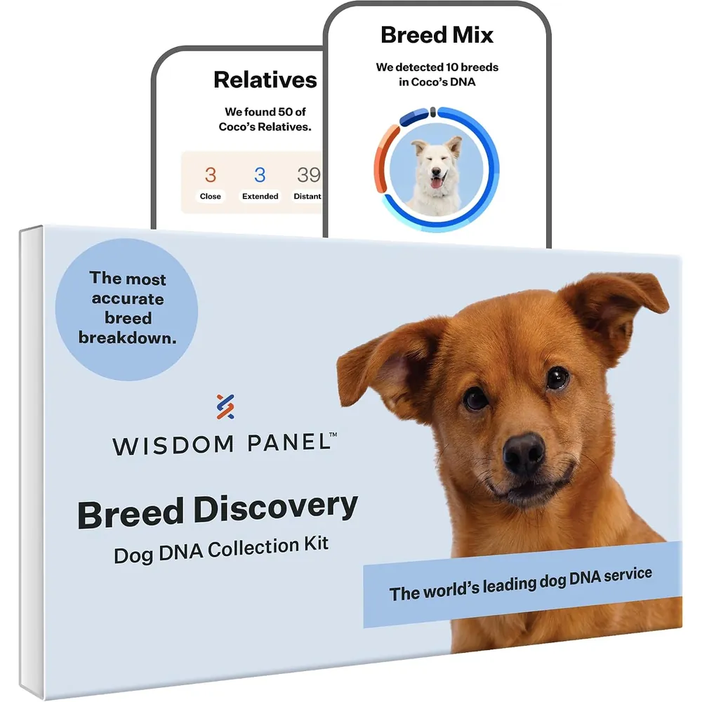 Wisdom Panel Breed Discovery Dog DNA Test Kit